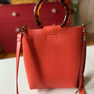 Anthropologie Lucite Crossbody Bag in Blood Orange